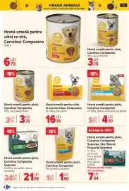Catalog Carrefour Pagină 62