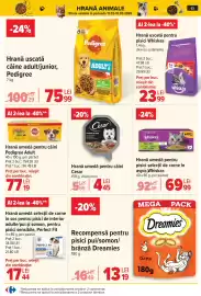 Catalog Carrefour Pagină 66