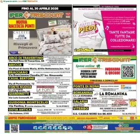Volantino Iper Triscount Pagina 20