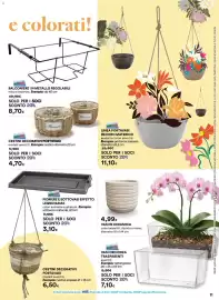 Volantino Ipercoop Pagina 11