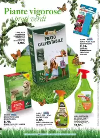 Volantino Ipercoop Pagina 15