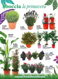 Volantino Ipercoop Pagina 4