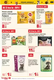 Catalog Carrefour Market Pagină 17
