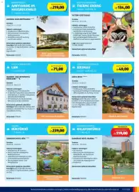 Hofer Flugblatt Seite 5