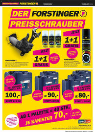 Forstinger Flugblatt Seite 12