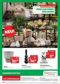 Eurogast Grissemann Flugblatt woche 9 Seite 12