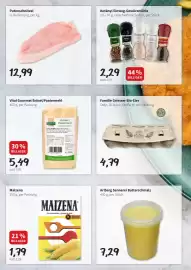 Eurogast Grissemann Flugblatt woche 9 Seite 6