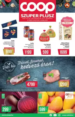 Coop akciós újság (érvényes eddig: 11-03)