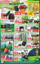 Norma folder week 9 Pagina 1