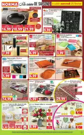 Norma folder week 9 Pagina 3