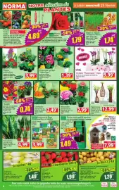 Norma folder week 9 Pagina 4