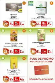 Catalogue Coccimarket page 23