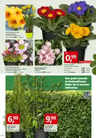 Bauhaus Prospekt Seite 2