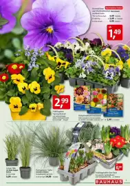 Bauhaus Prospekt Seite 3