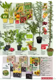 Bauhaus Prospekt Seite 5