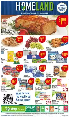 Homeland Market weekly ad (valid until 4-03)