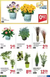 Metro Flugblatt Seite 69