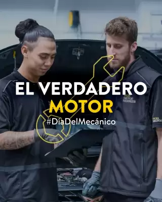 Folleto Rodi (válido hasta el 7-03)