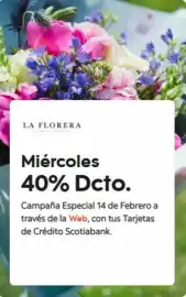 Catálogo Scotiabank Página 3