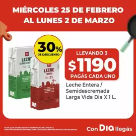 Folleto Supermercados DIA semana 9 Página 3