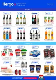 Revista Hergo semana 9 Página 3