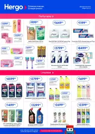 Revista Hergo semana 9 Página 4