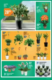 Canac flyer week 9 Page 4