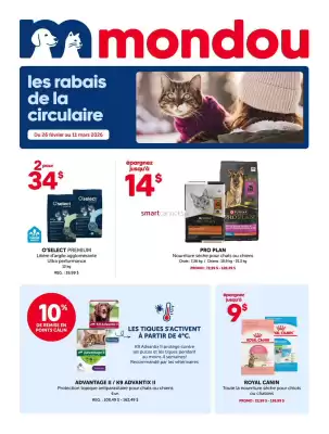 Mondou flyer (valid until 11-03)