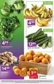 Stokrotka Express gazetka tydzień 9 Strona 2