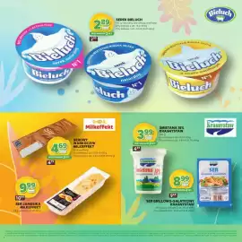 Stokrotka gazetka Strona 8