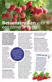 Ditjes en datjes folder Pagina 39