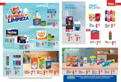 Catálogo MaxiAhorro Página 13