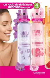 Catálogo Fuller Página 10