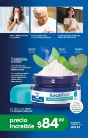 Catálogo Fuller Página 110