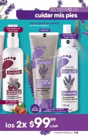 Catálogo Fuller Página 119