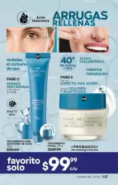 Catálogo Fuller Página 137