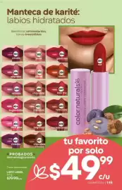 Catálogo Fuller Página 149