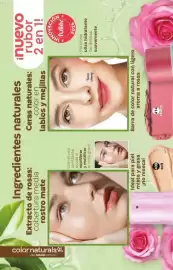 Catálogo Fuller Página 150