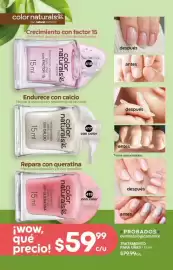 Catálogo Fuller Página 152