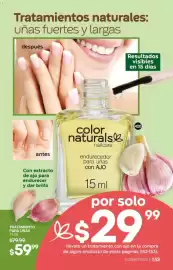 Catálogo Fuller Página 153