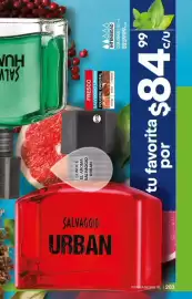 Catálogo Fuller Página 203