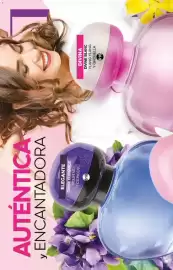 Catálogo Fuller Página 206