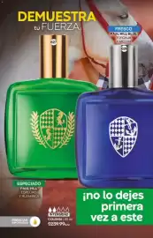 Catálogo Fuller Página 210