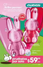 Catálogo Fuller Página 213