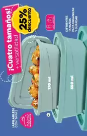 Catálogo Fuller Página 42