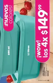 Catálogo Fuller Página 43