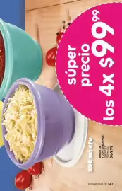 Catálogo Fuller Página 47