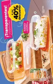 Catálogo Fuller Página 50