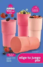 Catálogo Fuller Página 60