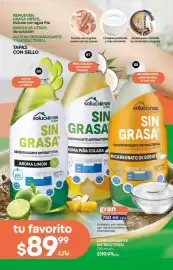 Catálogo Fuller Página 64